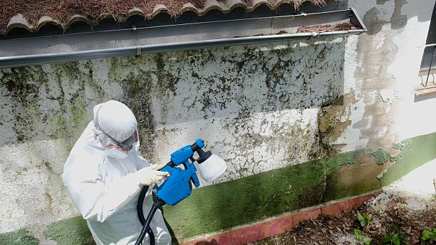 Trusted Mold Remediation service in Amissville, VA - Cheap Mold Removal